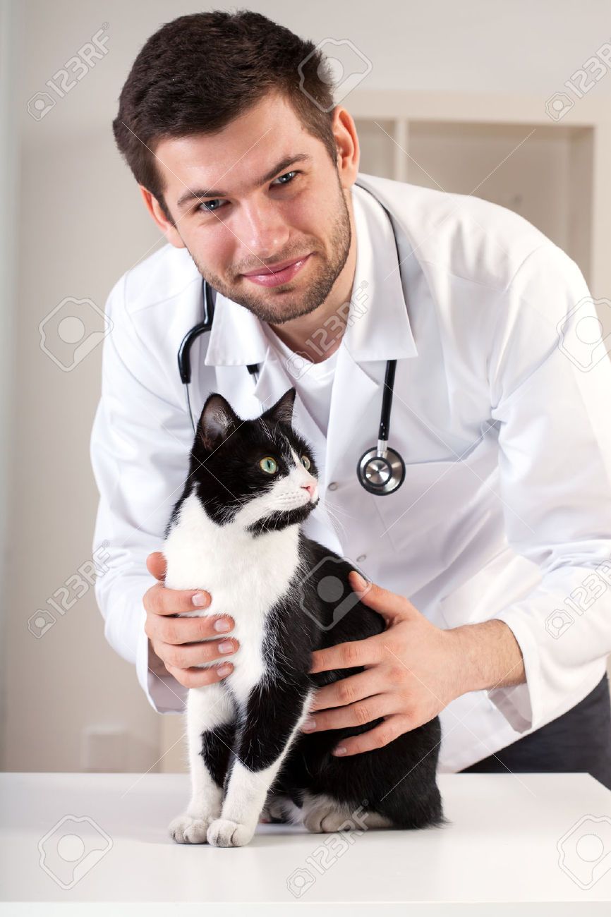 Dr Robert Kline DVM