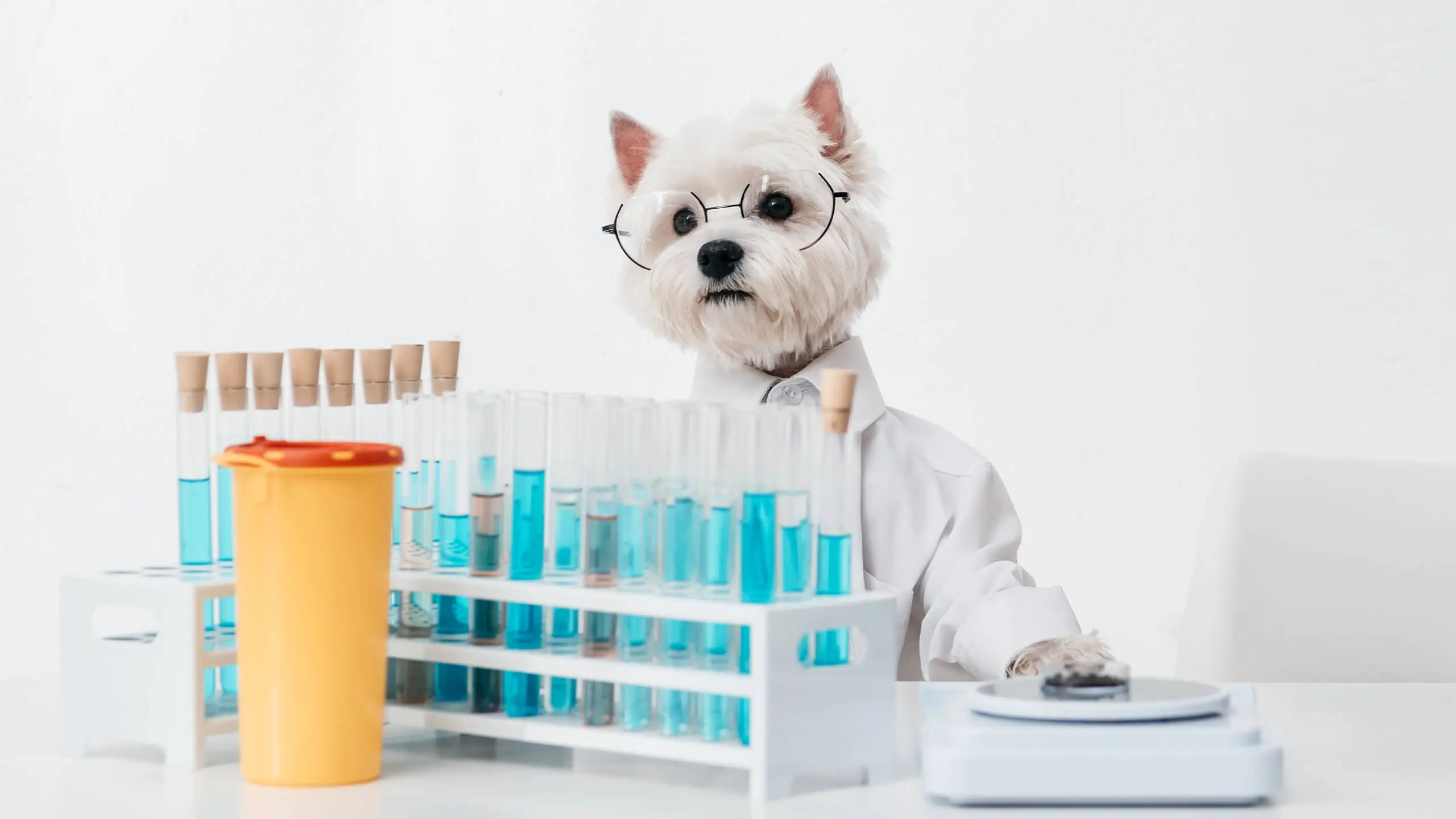 Laboratory