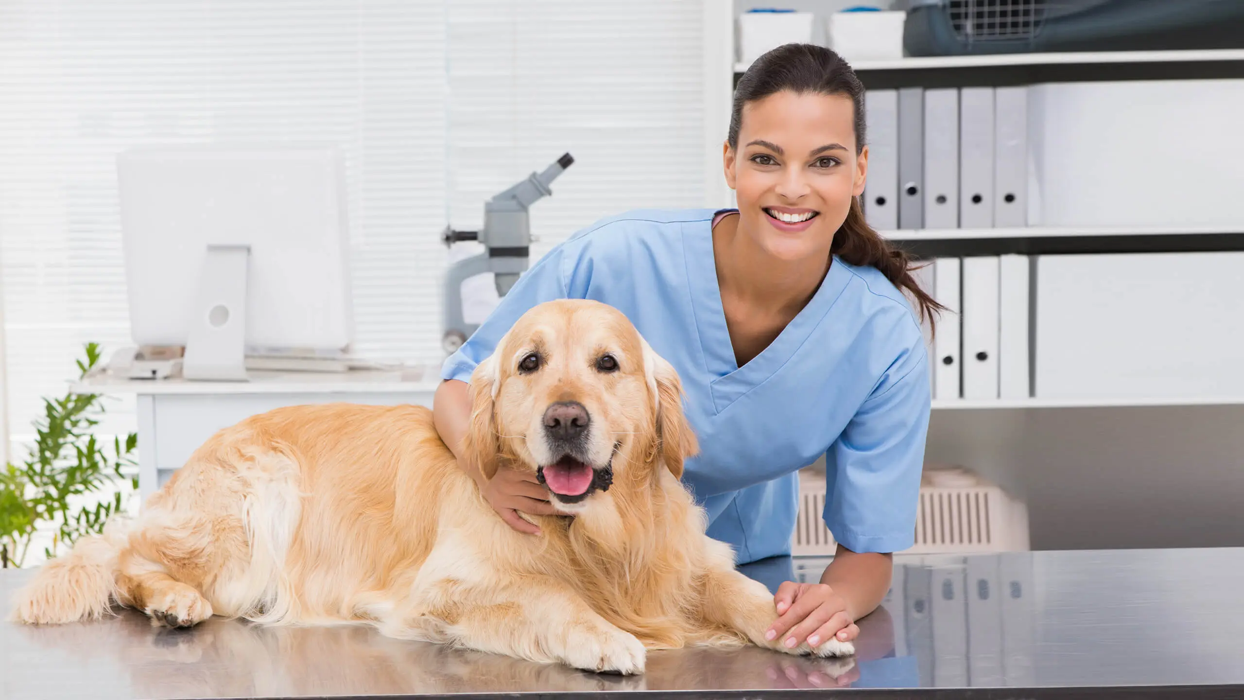 Senior Pet Care