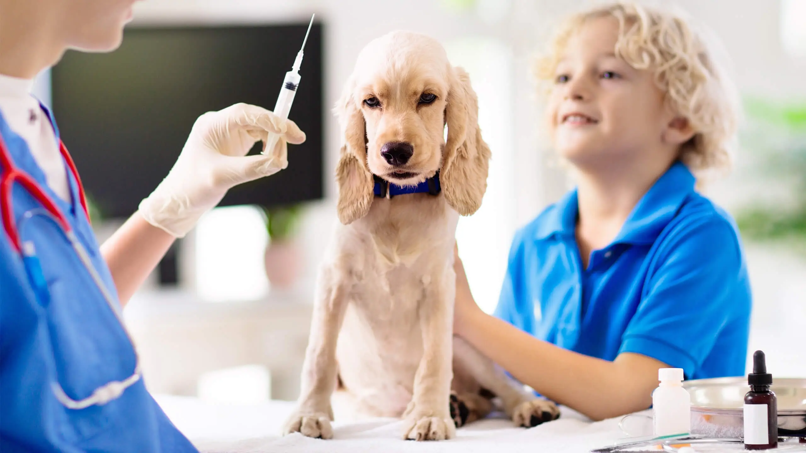 Vaccines